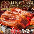 画像1: 日本ギフト大賞鹿児島県賞受賞!!国産特大うなぎ蒲焼き200g×2袋 (1)