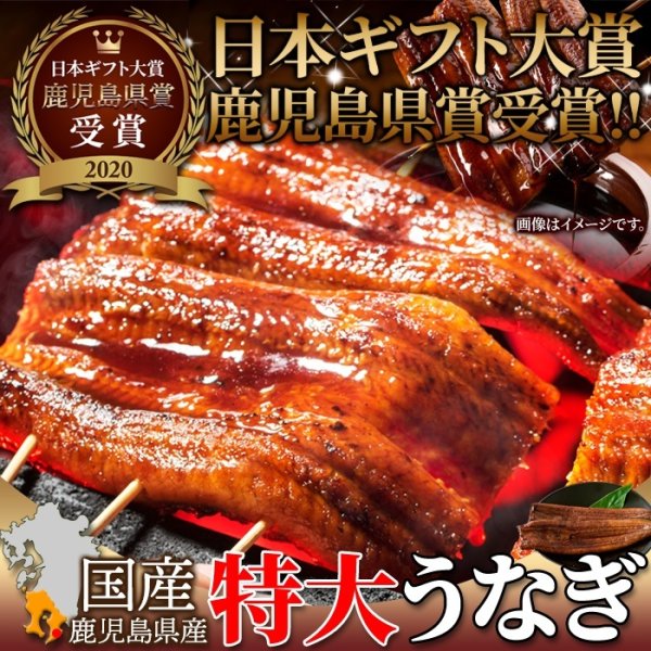 画像1: 日本ギフト大賞鹿児島県賞受賞!!国産特大うなぎ蒲焼き200g×2袋 (1)