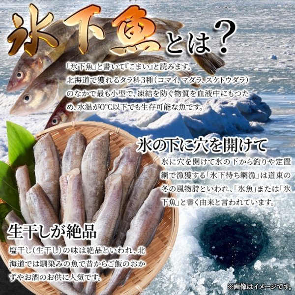 画像3: 【　ギフト対応可商品　】本場北海道の味！生干し氷下魚(こまい)1kg (3)