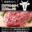 画像3: 超特大!!通常のステーキ3枚分!!牛肩ロース熟成肉1ポンドステーキ(450g） (3)