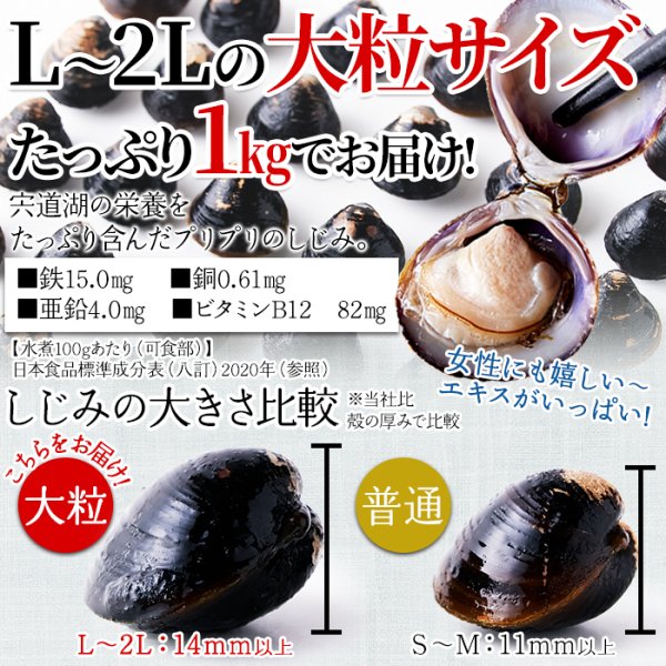 画像4: 獲れたてを急速冷凍！身が大きくてプリプリ！！宍道湖産大粒しじみ冷凍１kg (4)