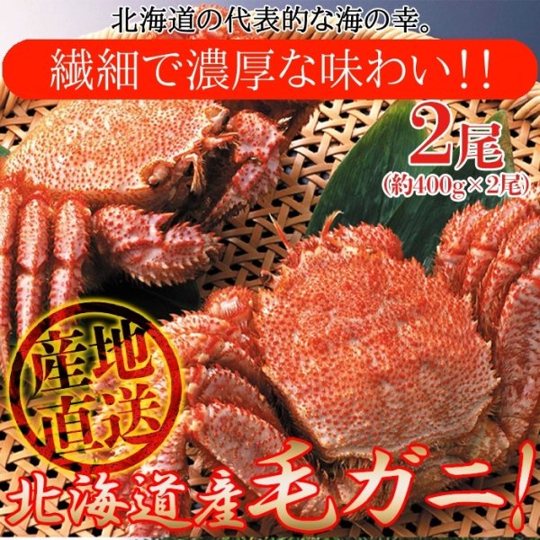 画像1: 【　ギフト対応可商品　】北海道を代表する海の幸！絶品！！毛がに 400g×2尾 (1)