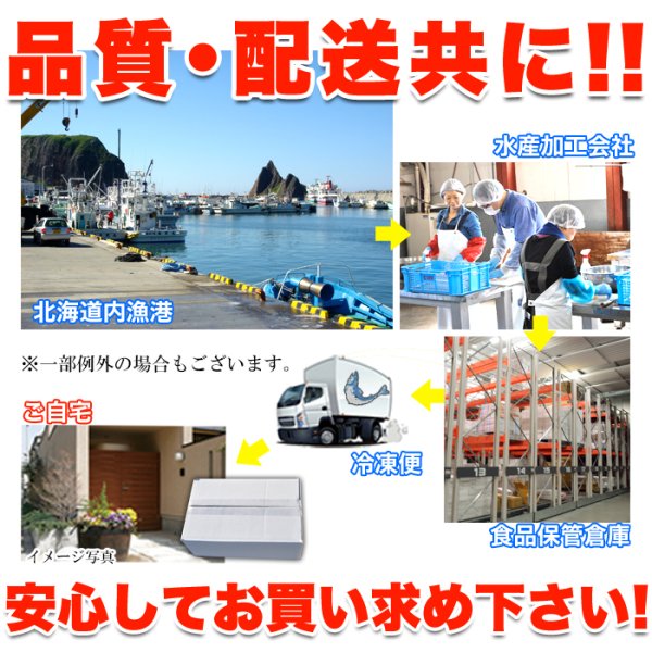 画像5: 【　ギフト対応可商品　】北海道を代表する海の幸！絶品！！毛がに 400g×2尾 (5)