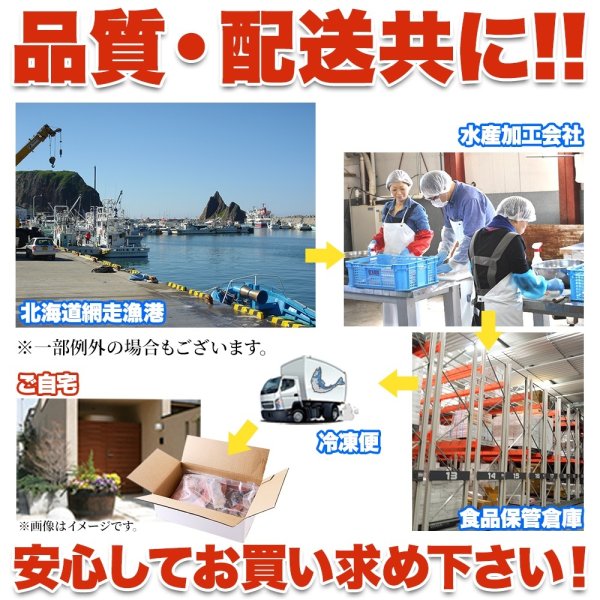 画像5: 【　ギフト対応可商品　】身が引き締まって肉厚!!北海道産生秋鮭切身1kg (5)