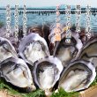 画像1: 【期間限定】喉ごしつるん!濃厚でクリーミィな大分県中津の殻付き生牡蠣!!ひがた美人500g (1)