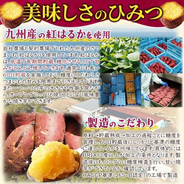 画像4: レンジで簡単! 濃厚な甘さの本格焼き芋が食べられる!!糖化熟成べにはるか カット焼きいも1kg《冷凍》 (4)
