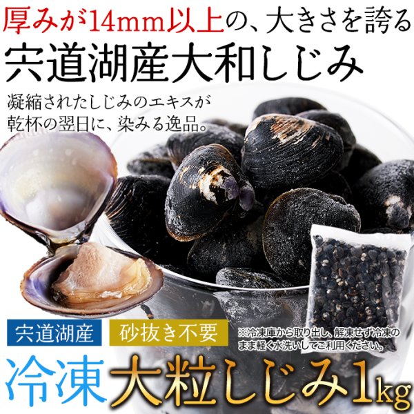 画像6: 獲れたてを急速冷凍！身が大きくてプリプリ！！宍道湖産大粒しじみ冷凍１kg (6)