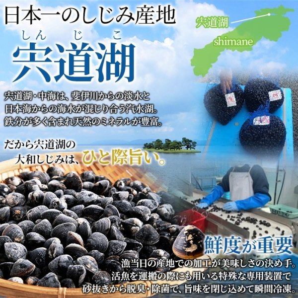 画像3: 獲れたてを急速冷凍！身が大きくてプリプリ！！宍道湖産大粒しじみ冷凍１kg (3)