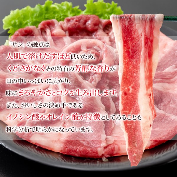 画像4: 口の中で溶け出す美味しさ！神戸牛A4ランク以上カルビスライス500g (4)