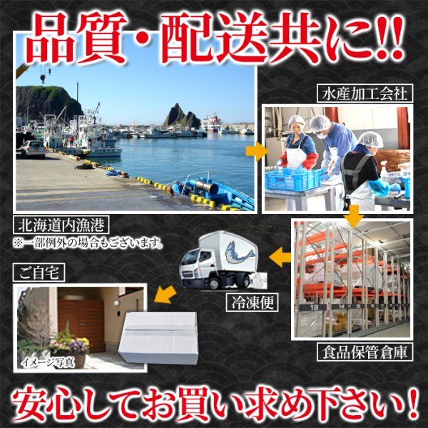 画像5: 【　ギフト対応可商品　】強い甘みにトロッとした口当たり！北海道産お刺身ほたて貝柱500g (5)