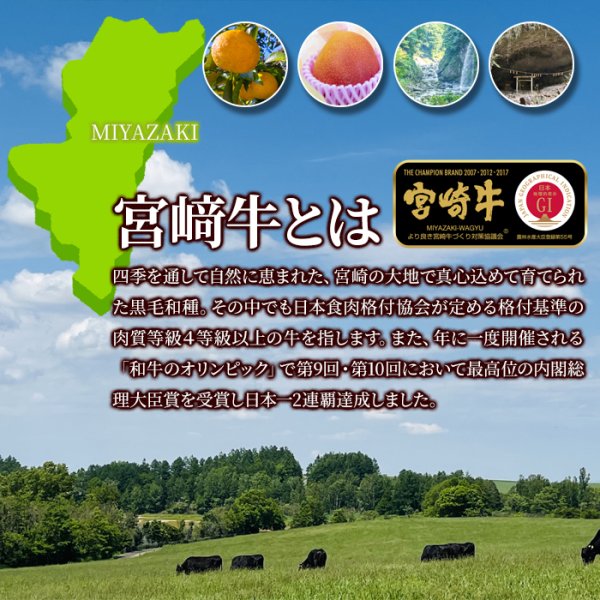 画像3: 芳醇な香りととろける霜降りが絶品！宮崎牛A5ランク切り落とし500g (3)