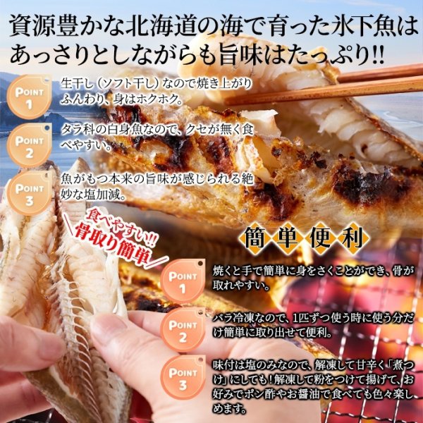 画像4: 【　ギフト対応可商品　】本場北海道の味！生干し氷下魚(こまい)1kg (4)