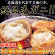 画像2: 【　ギフト対応可商品　】北海道を代表する海の幸！絶品！！毛がに 400g×2尾 (2)
