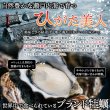 画像4: 【期間限定】喉ごしつるん!濃厚でクリーミィな大分県中津の殻付き生牡蠣!!ひがた美人500g (4)