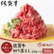 画像1: 見事な霜降りが特徴!!佐賀牛A4ランク以上切り落とし500g (1)