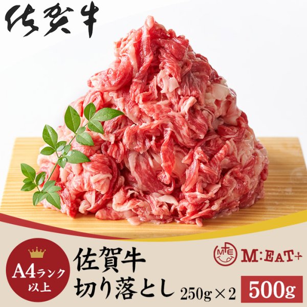 画像1: 見事な霜降りが特徴!!佐賀牛A4ランク以上切り落とし500g (1)
