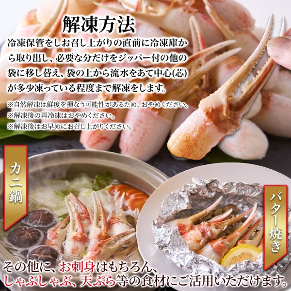 画像5: 北海道の工場で丁寧に加工！蟹の旨みを存分に！【生食用】本ズワイ蟹　蟹むき爪１kg (5)