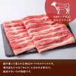 画像5: なかなか味わえない絶品お肉♪佐賀牛A4ランク以上カルビスライス500g (5)