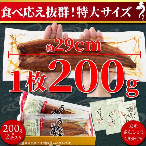 画像3: 日本ギフト大賞鹿児島県賞受賞!!国産特大うなぎ蒲焼き200g×2袋 (3)