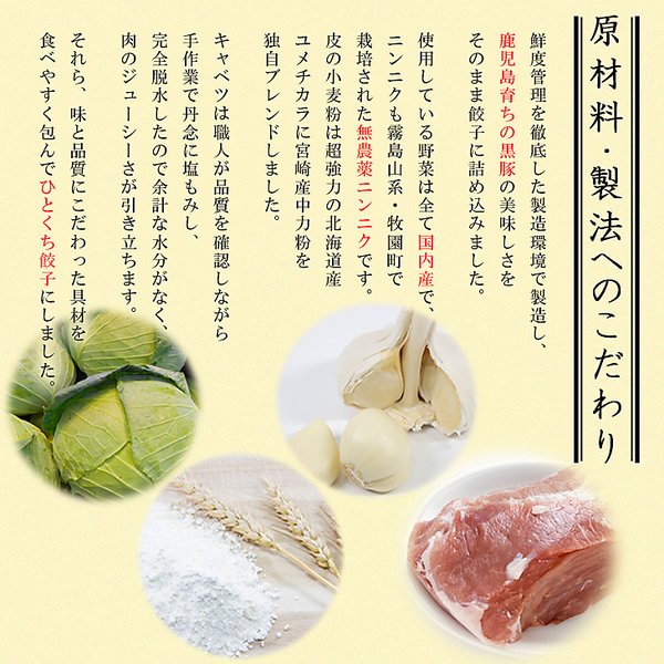 画像3: パリパリでジューシー!!箸が止まらない!!鹿児島黒豚ひとくち餃子４５個 (3)