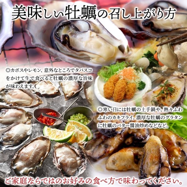 画像6: 【期間限定】喉ごしつるん!濃厚でクリーミィな大分県中津の殻付き生牡蠣!!ひがた美人500g (6)
