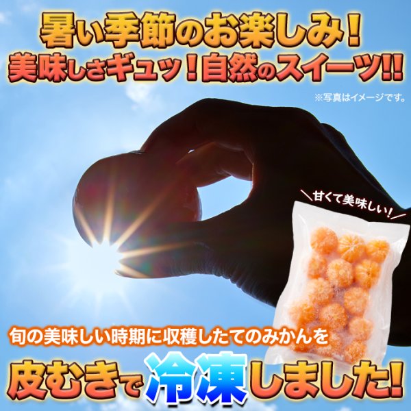 画像2: 皮むき不要で食べやすくシャリっと美味しい!!【訳アリ】皮むき冷凍みかん500g (2)