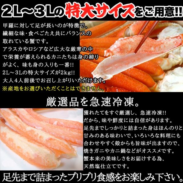 画像2: 【　ギフト対応可商品　】プリプリ食感!!特大ズワイ蟹足2kg (2)