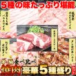 画像2: 5種の味をたっぷり堪能！焼肉豪華セット5種 1.2kg (2)