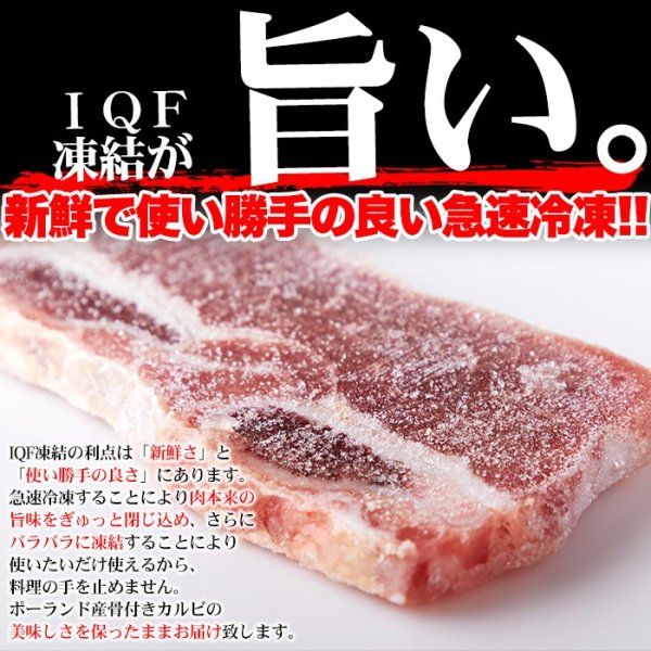 画像5: 骨付きだから旨い!!【業務用】骨付きカルビ(ショートリブ)どっさり約1kg (5)
