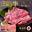 画像1: 芳醇な香りととろける霜降りが絶品！宮崎牛A5ランク切り落とし500g (1)