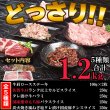 画像3: 5種の味をたっぷり堪能！焼肉豪華セット5種 1.2kg (3)