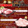 画像4: 5種の味をたっぷり堪能！焼肉豪華セット5種 1.2kg (4)