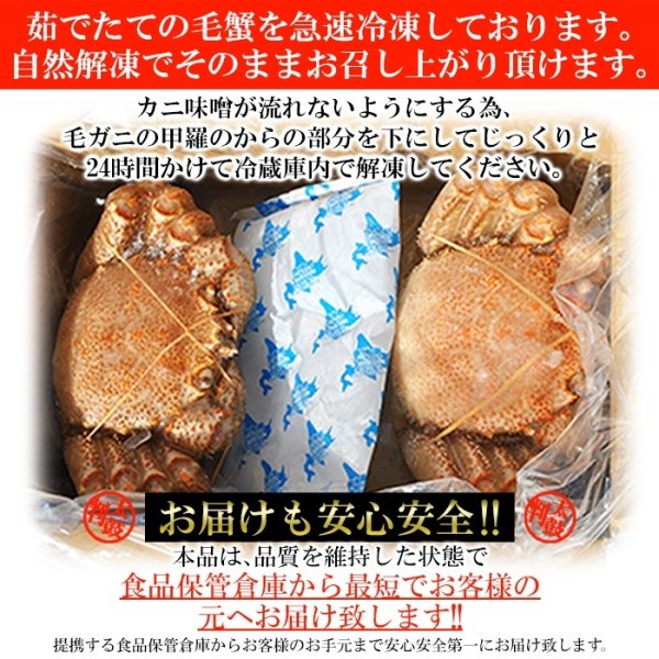 画像4: 【　ギフト対応可商品　】北海道を代表する海の幸！絶品！！毛がに 400g×2尾 (4)