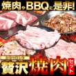 画像1: 5種の味をたっぷり堪能！焼肉豪華セット5種 1.2kg (1)