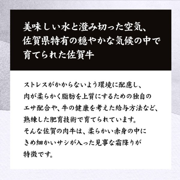 画像4: 見事な霜降りが特徴!!佐賀牛A4ランク以上切り落とし500g (4)